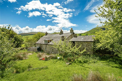 16.6 acres of Agricultural Land for sale in Dent