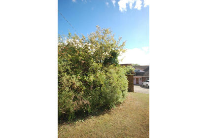 1 acre of House with Land for sale in Ramsden Bellhouse