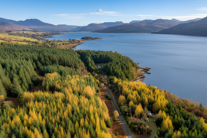 11.4 acres of Woodland with Cabin for sale in Inverness, Skye and West Ross-shire