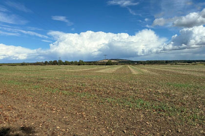 44.5 acres of Agricultural Land for sale in Styrrup with Oldcotes