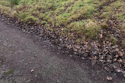 Land for sale in Cullompton