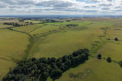 197.1 acres of Farmland for sale in Bavington