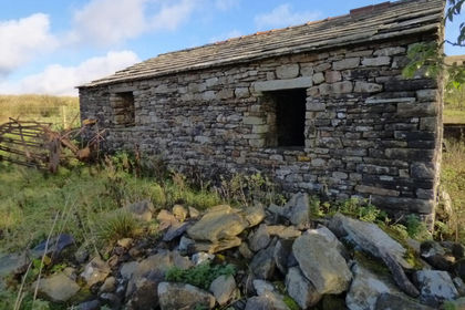 Agricultural Land for sale in High Abbotside