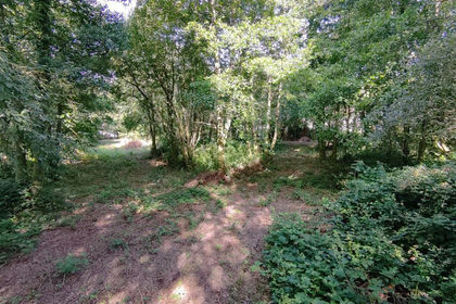 5.2 acres of Woodland for sale in Llandybie