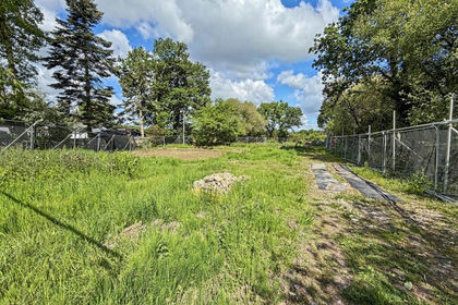 1.3 acres of Self Build Plot for sale in Colehill