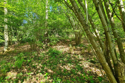 16.5 acres of Recreational Land for sale in Albury