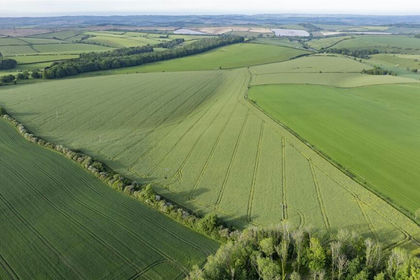 134.1 acres of Farmland for sale in Winterbourne Steepleton