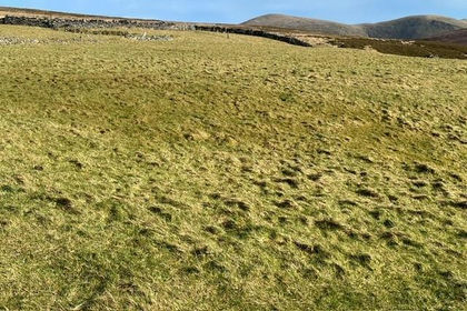 7 acres of Agricultural Land for sale in Llandwrog