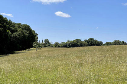 2.9 acres of Pasture for sale in Sulhamstead