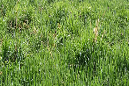 Small Plot of Land for sale in Bromley and Biggin Hill