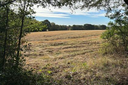 12 acres of Arable Land for sale in Danbury