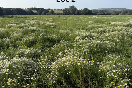 13.2 acres of Undeveloped Land for sale in Crowan