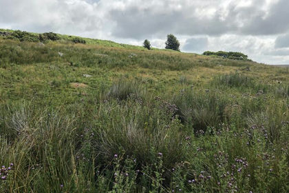 23.8 acres of Agricultural Land for sale in Commondale