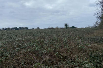 4.3 acres of For sale in Lakenheath