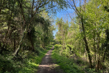 43 acres of Timberland for sale in Abergele