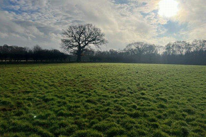 4.8 acres of Land for sale in Dilham