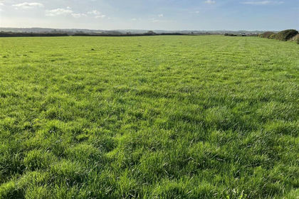 Agricultural Land for sale in Brawdy
