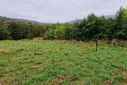 2 acres of Land for sale in Moray West, Nairn and Strathspey