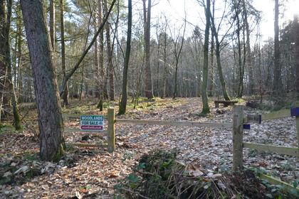 5.3 acres of Woodland for sale in