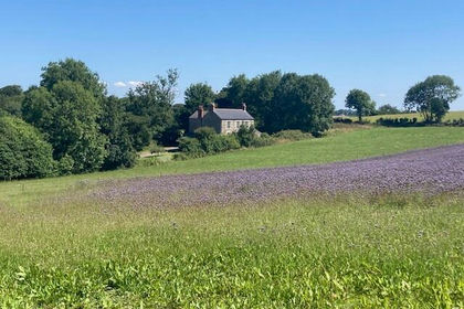 6 acres of Farmhouse for sale in Stithians