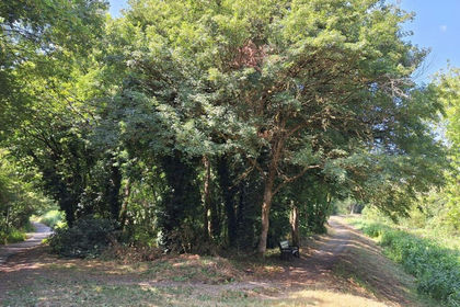 Woodland for sale in South Cerney