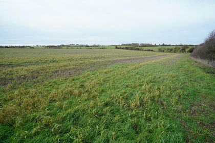 9.1 acres of Land for sale in Thurleigh