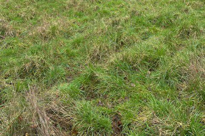 Vacant Land for sale in Great Baddow