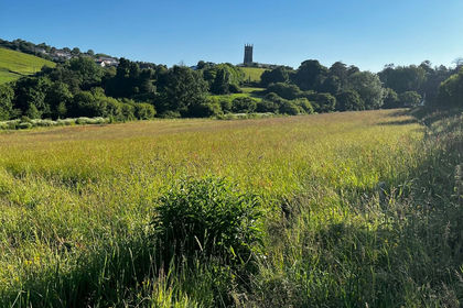 5.1 acres of Agricultural Land for sale in Ugborough