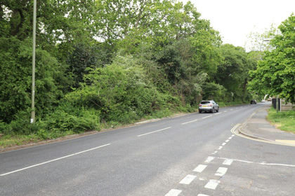 11 acres of Woodland for sale in Havant