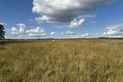 58.3 acres of Grazing Land for sale in Bettws-y-Crwyn