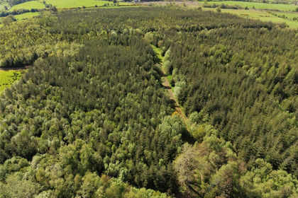 50.3 acres of Woodland for sale in Glyntraian