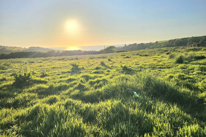 6.3 acres of Undeveloped Land for sale in