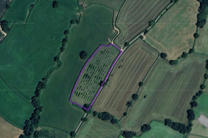 3.1 acres of Land for sale in Awliscombe
