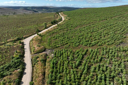 3239.6 acres of Timberland for sale in Moray West, Nairn and Strathspey