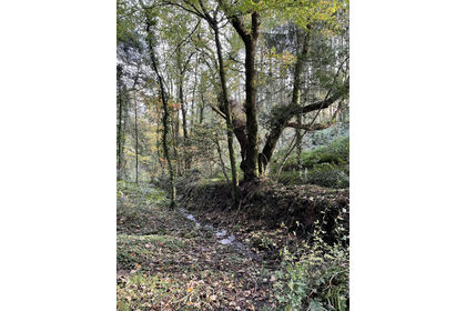 4.3 acres of Woodland for sale in