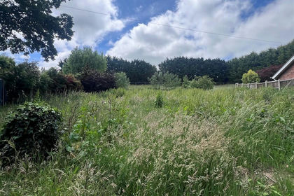 Building Plot for sale in Marsham