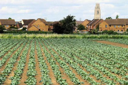 27.5 acres of Development Land for sale in Fishtoft