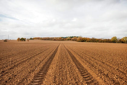 130.5 acres of Agricultural Land for sale in Warbleton