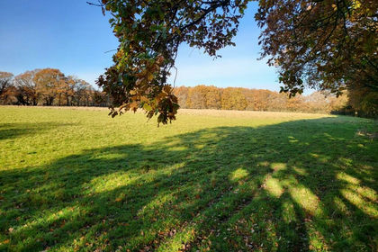 Land for sale in Horne