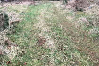 19 acres of Agricultural Land for sale in Caithness, Sutherland and Easter Ross