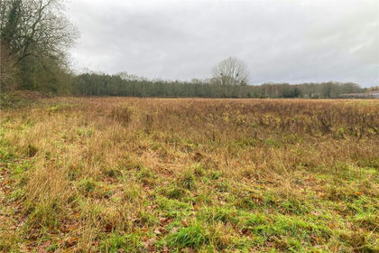 5.4 acres of Land for sale in Dogmersfield