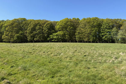 3.8 acres of Recreational Land for sale in