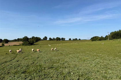 115.9 acres of Vacant Land for sale in Raglan