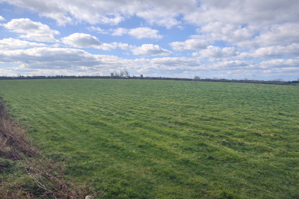 90 acres of Agricultural Land for sale in Kingsbridge