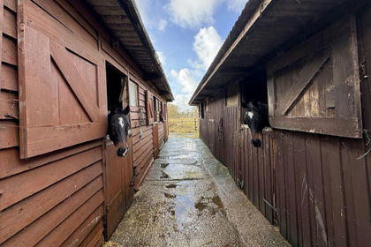 4.5 acres of Agricultural Land for sale in Brookland