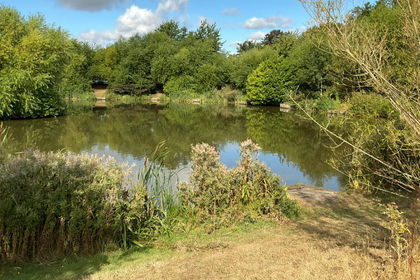 3.3 acres of Fishery for sale in Thorne