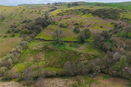 7 acres of Grazing Land for sale in Llandrindod Wells