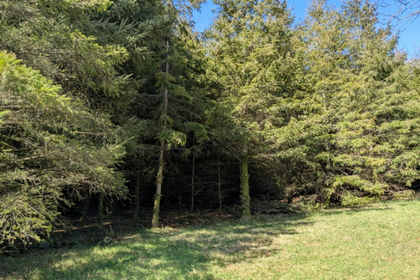 4.8 acres of Woodland for sale in