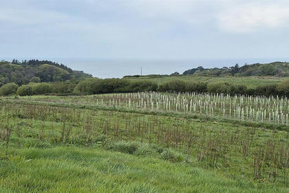 8.8 acres of Grazing Land for sale in Ilfracombe