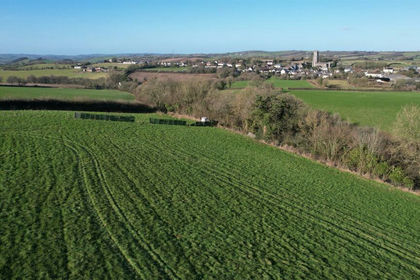 Agricultural Land for sale in Chittlehampton